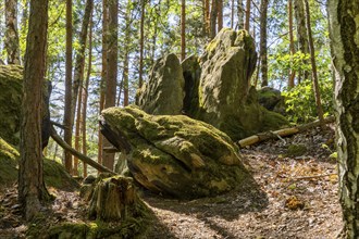 The Nikolsdorf Walls are a rocky area in Saxon Switzerland. Nikolsdorf, Saxony, Germany, Europe