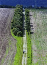 Tractor tracks on a harvested field, walker on a field path Neinstedt, 21/08/2014, Neinstedt,