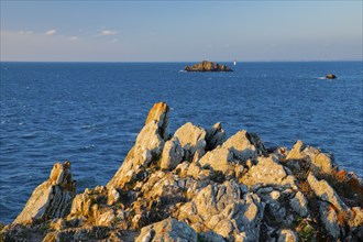 Evening view from the Pointe du Grouin with a view of the Phare de la Pierre-de-Herpin and the