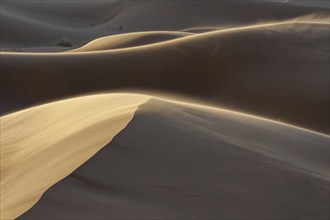 Sand dunes, Erg Chebbi, Sahara, Southern Morocco, Morocco, Africa