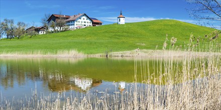 Hegratsrieder See, near Füssen, Allgäu, Bavaria, Germany, Europe