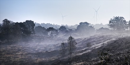 Landscape with wind turbines in the morning glow in autumn, Westruper Heide, Haltern am See, Ruhr