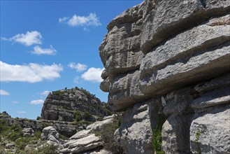 Close-up of large rocks with blue sky and clouds in the background and green vegetation, karst