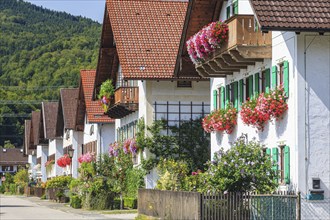 Traditional Bavarian farmhouses, gardens, balcony flowers, flowers, summer, Schlehdorf, Alpine