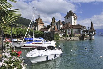 Pleasure boats and the Swiss castle of Oberhofen along the Thunersee, Lake Thun in the Bernese