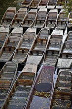 Rows of boats at Magdalen College of the Oxford University, Oxfordshire, England, UK