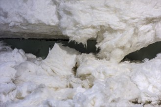 Close up of harvested, raw, untreated cotton fibres in cotton mill