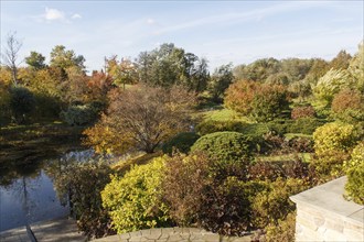 Park with green lawn, trees, hedges, trimmed bushes and hilly terrain. Modern landscape design