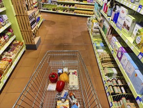 Shopping trolley with products in an organic supermarket, Witten, North Rhine-Westphalia, Germany,