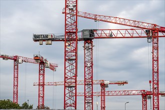 Construction cranes, on a large building site in Düsseldorf, Deiker Höfe, North Rhine-Westphalia,