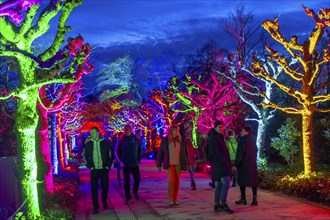 Parkleuchten, event in winter, in the Grugapark in Essen, many different light installations,