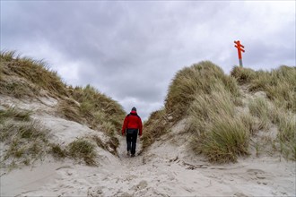 North Sea island of Spiekeroog, East Frisia, Lower Saxony, Germany, Dune crossing on the west