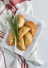 Fried chebureks, close-up, on a light background, no people