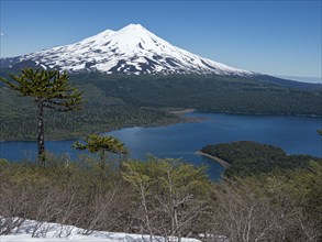 View from hiking trail Sierra Nevada, lake Conguillio, araucaria forest, volcano Llaima, Conguillio