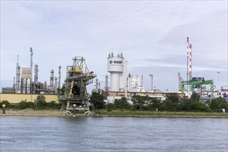 BASF, Lugwigshafen am Rhein, industrial area, Mannheim, Baden-Württemberg, Germany, Europe