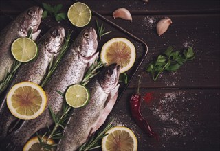 Raw rainbow trout, with lemon and herbs, on a wooden table, no people