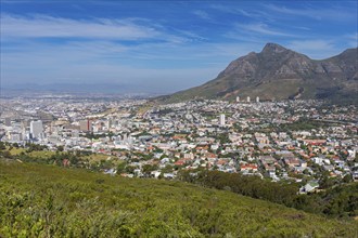 Landscape, South Africa, Table Mountain, Building, City, View of Cape Town, Table Mountain National