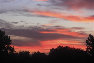 Red clouds in the evening sky with tree silhouettes, North Rhine-Westphalia, Germany, Europe