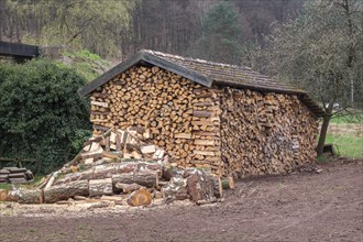 Neatly stacked firewood drying in a roofed, open shed, Palatinate, Rhineland-Palatinate, Germany,