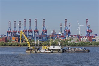 Cargo ship, Burchardkai container terminal, Norderelbe, Hamburg, Germany, Europe