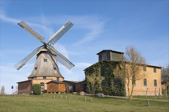 Town windmill, Galerie-Holländer, Malchow, island town, Mecklenburg Lake District, Mecklenburg,