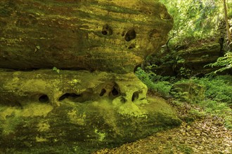 The Nikolsdorf Walls are a rocky area in Saxon Switzerland. Nikolsdorf, Saxony, Germany, Europe