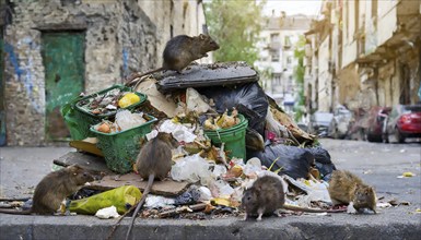 Symbolism, a pile of rotting rubbish in the city, with rats on it, AI-generated