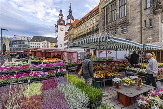 Weekly market, direct marketing of fruit and vegetables at Neumarkt. City view with old town hall.