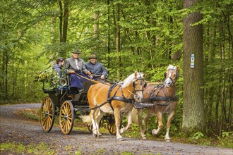 Presentation and route ride, all carriages in stylish tension, popular sporting event over approx.