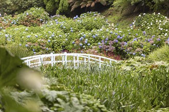 Flower-filled garden with a white bridge and lots of greenery