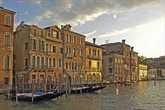 Houses on the Grand Canal in Venice, Venice, Italy, Europe