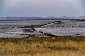 The Wadden Sea, East Frisia, near Lower Saxony, view to the island of Norderney, Norddeich,