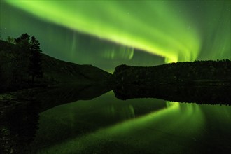 Northern Lights (Aurora borealis) reflected in a lake, Rago National Park, Nordland, Norway,