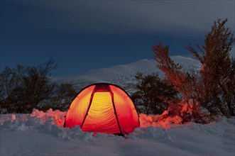 Illuminated tent on a bright moonlit night in the Doeralen valley, Rondane National Park, Oppland