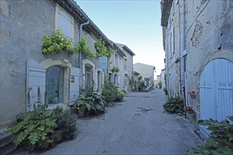 Idyllic alleyway with floral decoration and shutters, alley, blue, Grignan, Drôme, Tricastin,