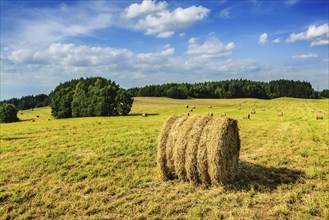 Agriculture background, Hay bales on field in summer