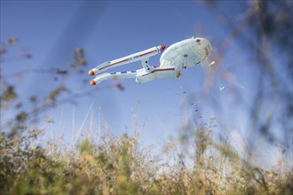 Flying kite in the shape of the USS Enterprise photographed between grasses on Tempelhofer Feld in