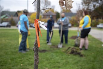 Detroit, Michigan, The nonprofit Greening of Detroit plants trees in the Morningside neighborhood.