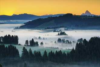 Dawn with a view from the Raten Pass over the fog-covered high moor of Rothenthurm in the canton of