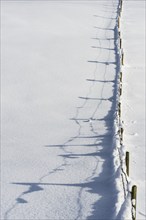 Icy pasture fence, natural landscape near Füssen, Ostallgäu, Bavaria, Germany, Europe