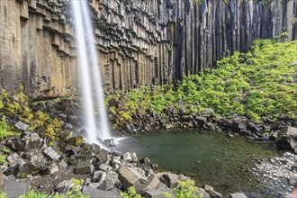 Waterfall, basalt columns, summer, Svartifoss, Skaftafell National Park, Iceland, Europe