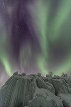 Northern Lights, Aurora borealis, frozen waterfall, winter, Torneträsk, Laponia, Lapland, Sweden,