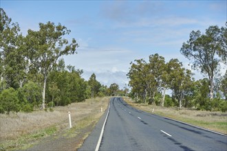 Landscape of a highway in spring, Australia, Oceania