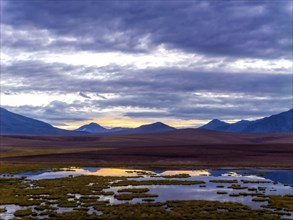 Highland landscape with tundra and lagoons, Atacama Desert, Chile, South America