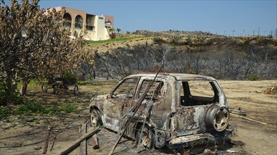 Burnt car in a landscape destroyed by a fire, buildings and dry trees in the background, forest