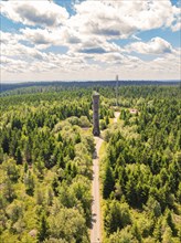 A narrow path leads to an observation tower, surrounded by dense forest and a blue sky with white