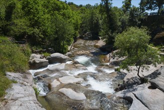 A tranquil river flows through a rocky landscape surrounded by lush green trees, natural pool,