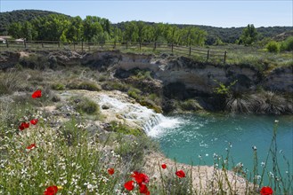 A waterfall flows into a turquoise-coloured lake, surrounded by blooming flowers and green