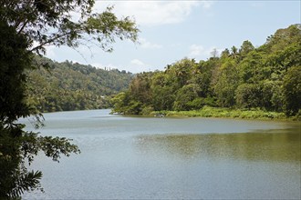 Boat and jungle landscape on the Mahaweli River, Kandy, Central Province, Sri Lanka, Asia