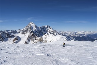 Ski tourers descending from the summit of Monte Cevedale on the Zufallferner, mountain panorama,